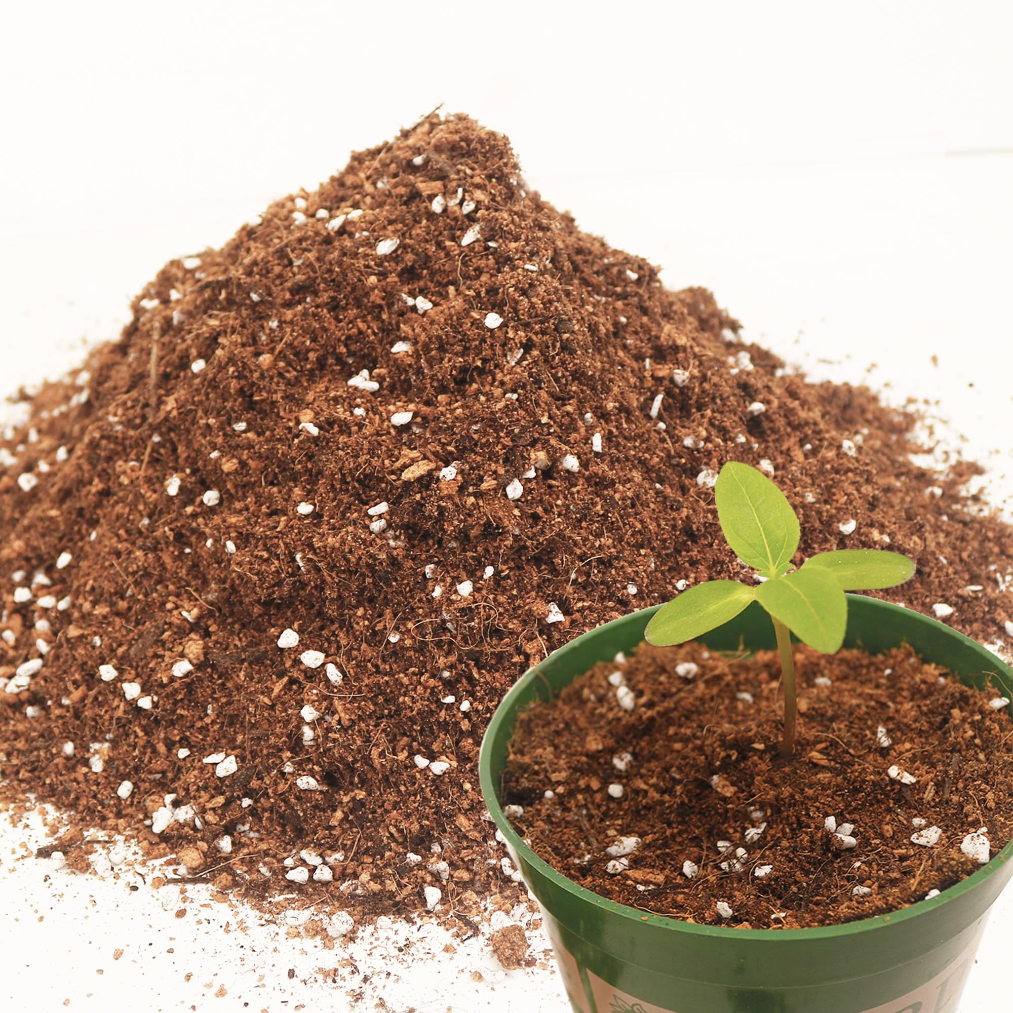Amazon.com : 3QT Potting Soil Mix for Indoor Plants - Contains